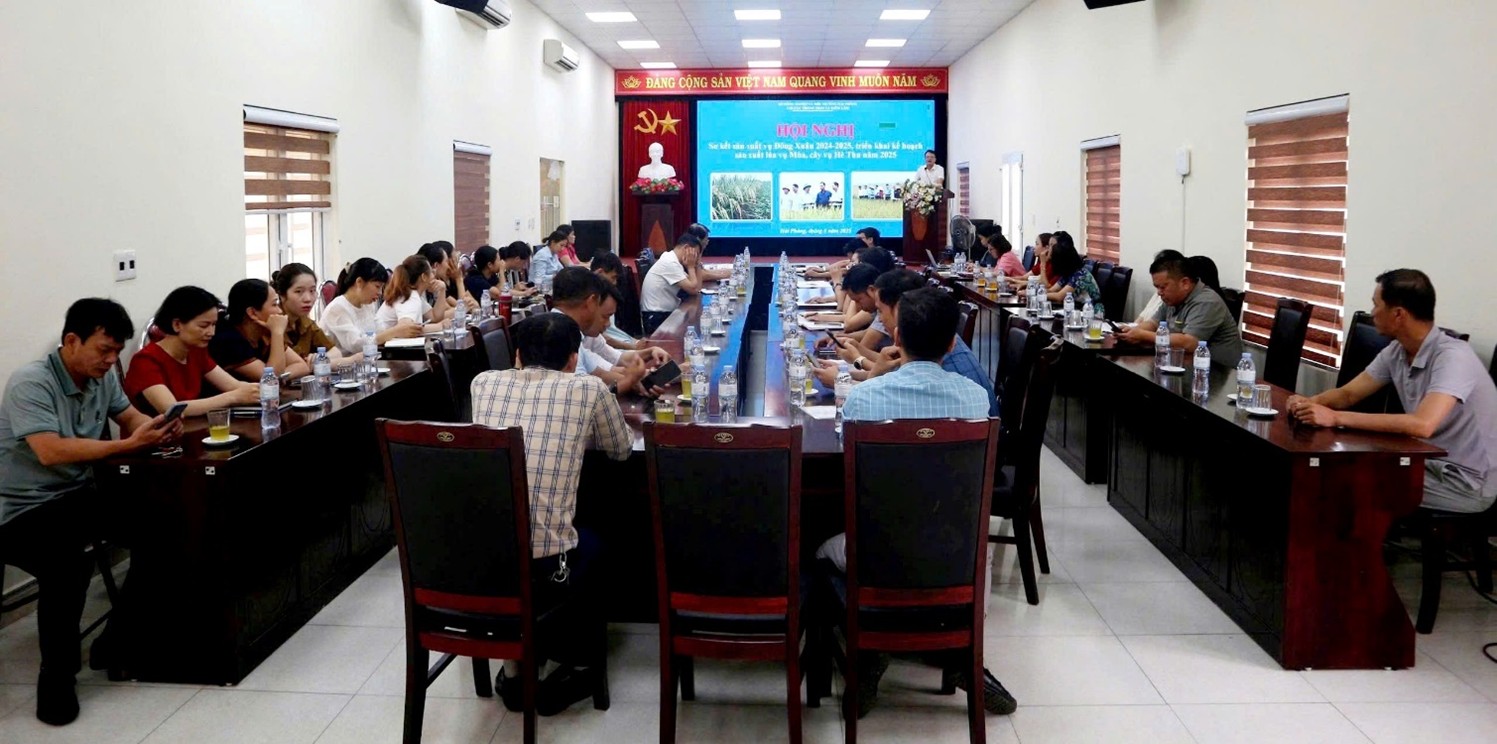 SƠ KẾT SẢN XUẤT VỤ ĐÔNG XUÂN 2024 - 2025,  TRIỂN KHAI KẾ HOẠCH SẢN XUẤT LÚA VỤ MÙA, CÂY HÈ THU NĂM 2025 TRÊN ĐỊA BÀN THÀNH PHỐ HẢI PHÒNG